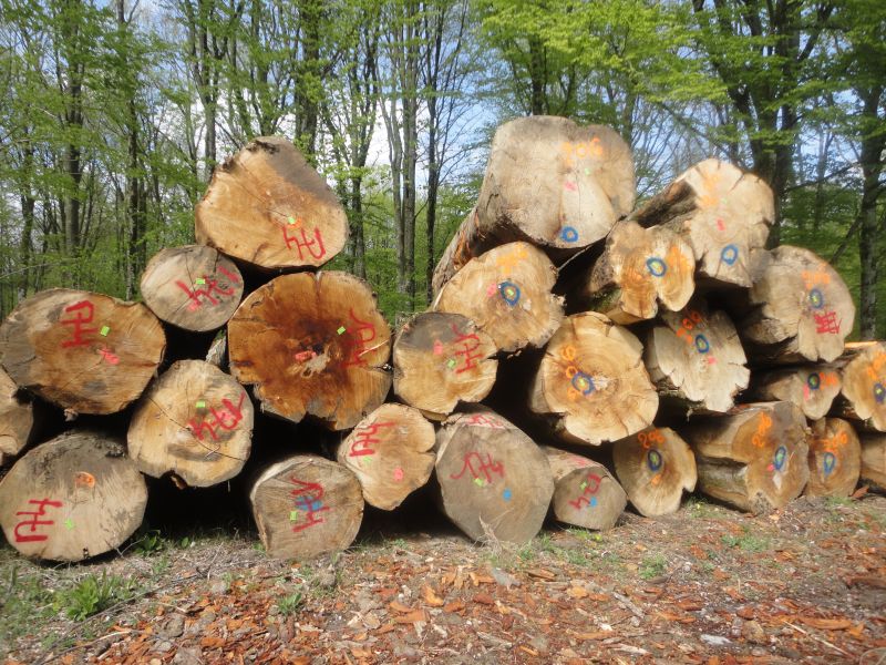 Erfolg Sourcing gallery image 1